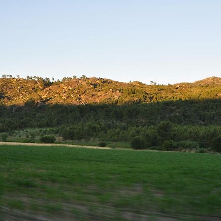 Pinheirinhos - Quinta De Sao Caetano Βίλα Carapito Εξωτερικό φωτογραφία