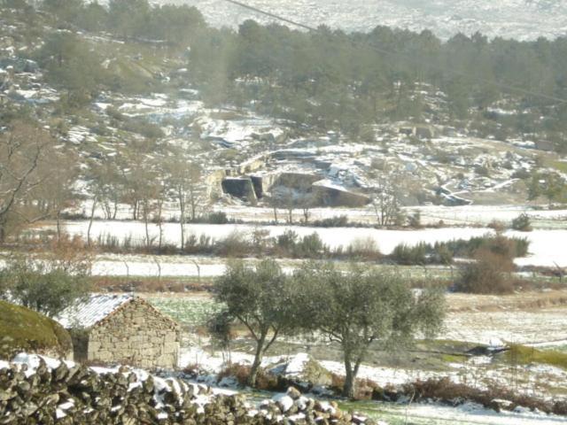 Pinheirinhos - Quinta De Sao Caetano Βίλα Carapito Εξωτερικό φωτογραφία