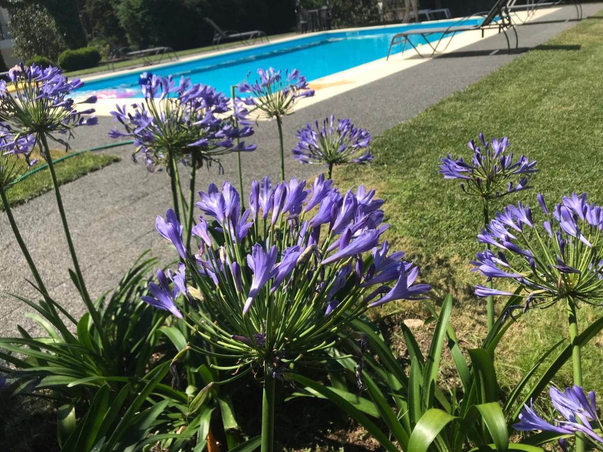 Pinheirinhos - Quinta De Sao Caetano Βίλα Carapito Εξωτερικό φωτογραφία