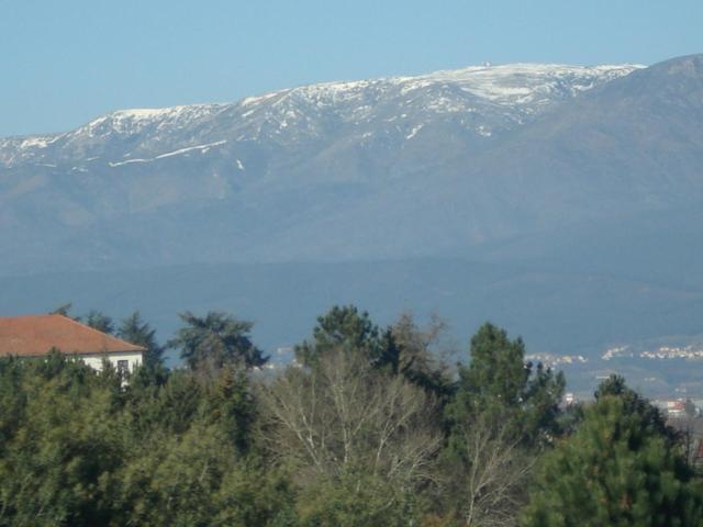 Pinheirinhos - Quinta De Sao Caetano Βίλα Carapito Εξωτερικό φωτογραφία