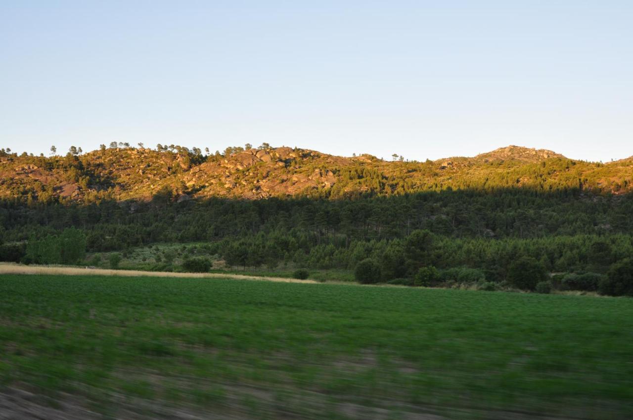 Pinheirinhos - Quinta De Sao Caetano Βίλα Carapito Εξωτερικό φωτογραφία