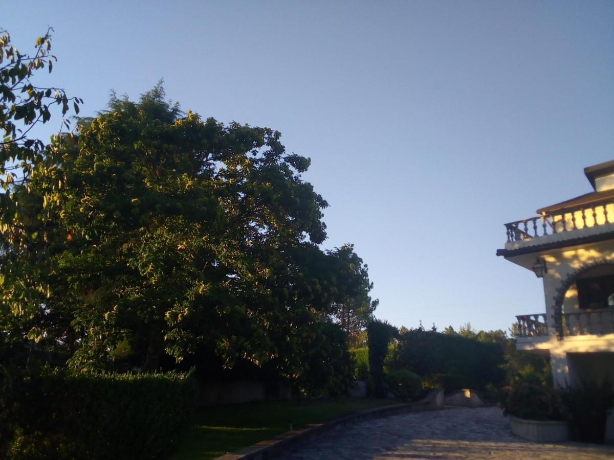 Pinheirinhos - Quinta De Sao Caetano Βίλα Carapito Εξωτερικό φωτογραφία
