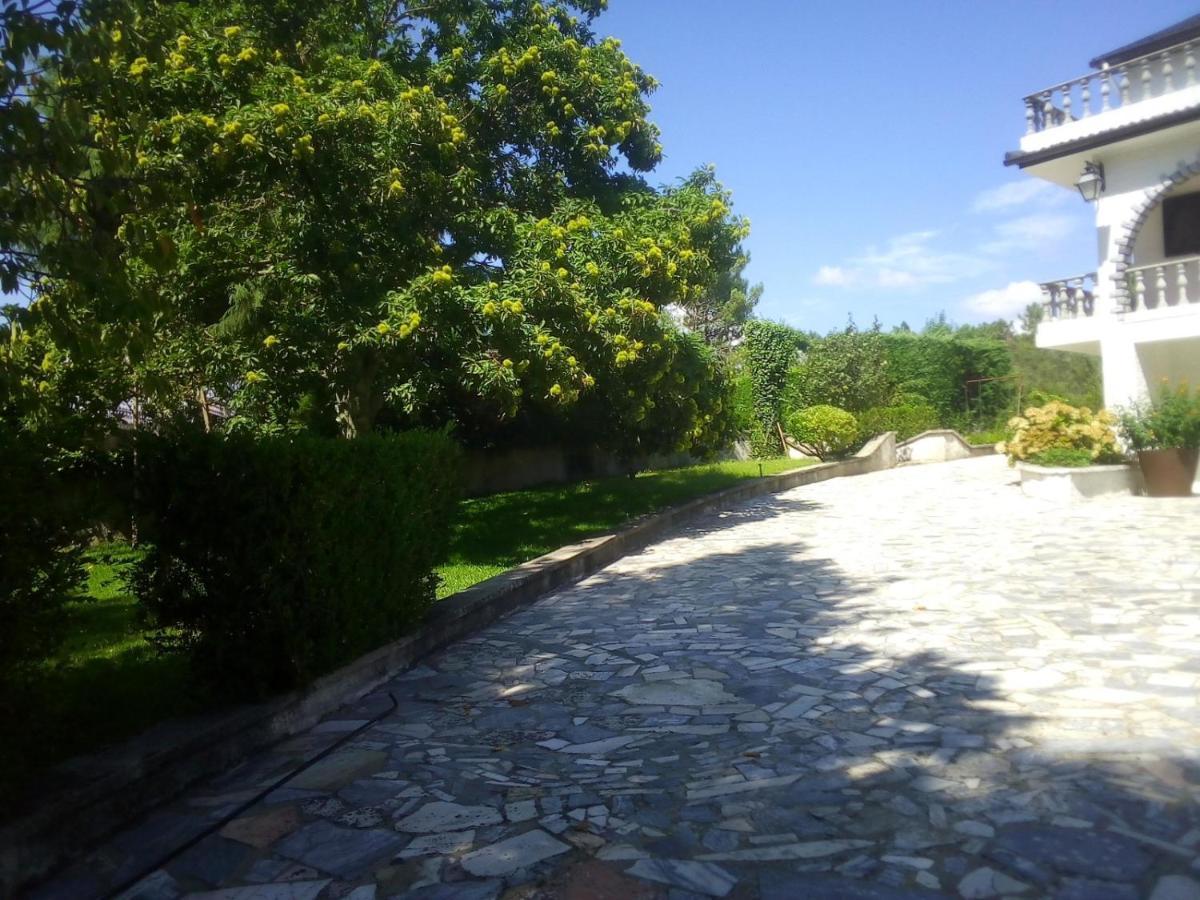 Pinheirinhos - Quinta De Sao Caetano Βίλα Carapito Εξωτερικό φωτογραφία